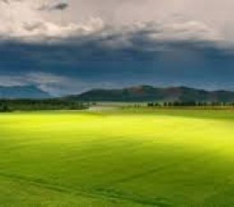 DEMO HABER BAŞLIĞI